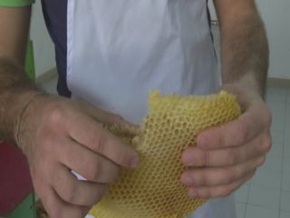 Dall'amore per le api, una piccola azienda di miele fatto secondo la tradizione
