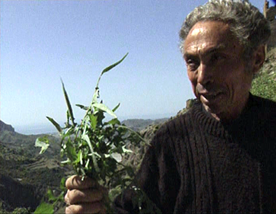 La raccolta delle erbe spontanee usate in cucina e dalla medicina popolare ed il loro nome in grecanico