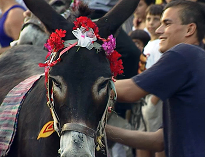 Il Palio degli asini allieta lestate grecanica