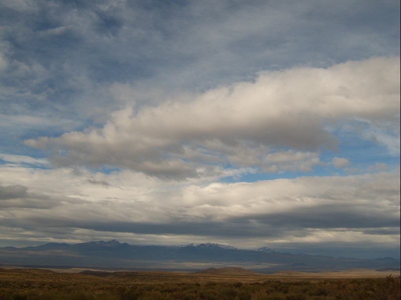 Il tipico panorama della ''Pampa'' argentina