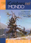 Anno I - N. 6