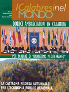Anno II - N. 11